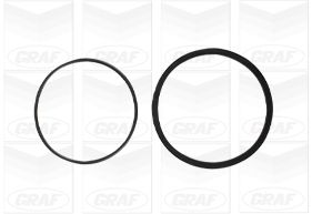GRAF Vandpumpe pa695 for DAEWOO