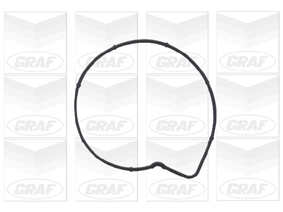 GRAF Vandpumpe pa736 for MERCEDES-BENZ