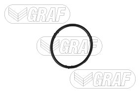 GRAF Vandpumpe pa765 for VW AUDI