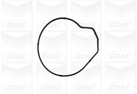 GRAF Vandpumpe pa855 for VW