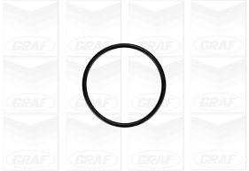GRAF Vandpumpe pa879 for FORD VW AUDI