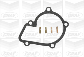 GRAF Vandpumpe pa927 for FORD NISSAN