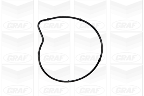 GRAF Vandpumpe pa978 for MERCEDES-BENZ SMART MITSUBISHI