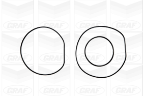 GRAF Vandpumpe pa987 for LAND ROVER