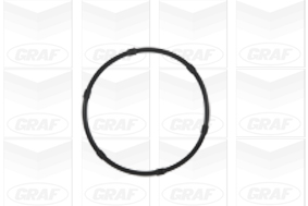 GRAF Vandpumpe pa986 for BAIC SMART PEUGEOT MITSUBISHI