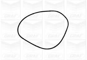 GRAF Vandpumpe pa1216 for PORSCHE