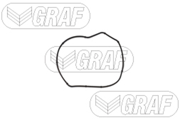 GRAF Vandpumpe pa1471 for PORSCHE