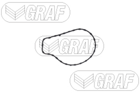 GRAF Vandpumpe pa1515 for TOYOTA
