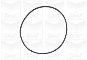 GRAF Vandpumpe pa541a for VAUXHALL OPEL