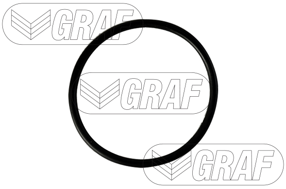 GRAF Vandpumpe pa875 for AUDI VW