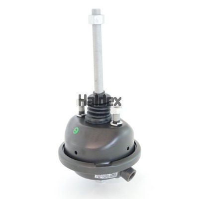 HALDEX 123120002 for RENAULT TRUCKS DAF