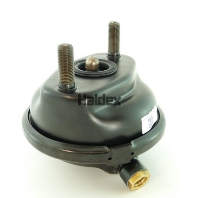 HALDEX 125200405 for MERCEDES-BENZ