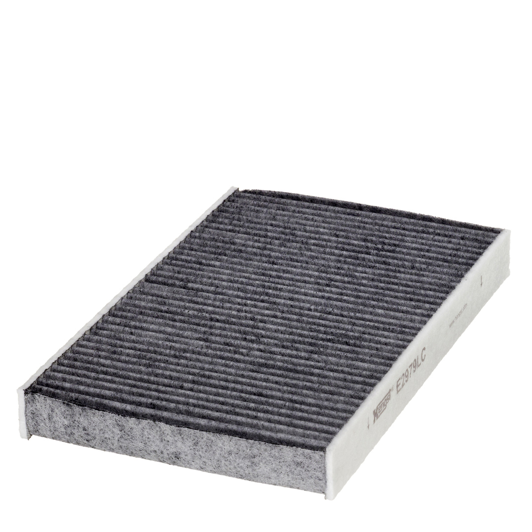 HENGST FILTER Kabineluftfilter e2979lc for PEUGEOT DS