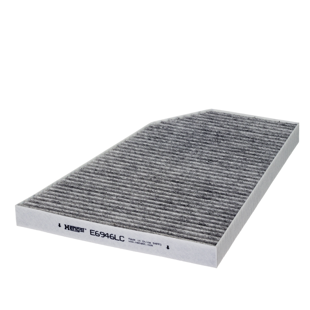 HENGST FILTER Kabineluftfilter e6946lc for TESLA