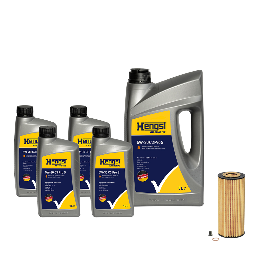 HENGST FILTER Delesæt, inspektion kit865 for BMW