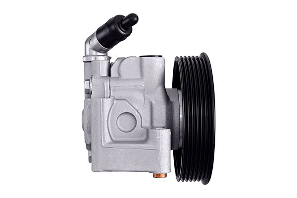 HELLA Hydraulikpumpe, styresystem 8TL 359 003-291 for FORD