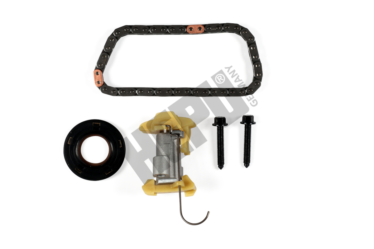 HEPU Styrekædesæt 210695 for FORD OPEL CITROËN/PEUGEOT