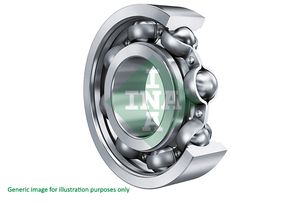 SCHAEFFLER INA 722079910 for IVECO