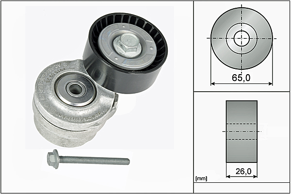 SCHAEFFLER INA Remstrammer, kilerem 534010120 for ALFA ROMEO