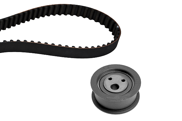 SCHAEFFLER INA Tandremssæt 530044810 for LADA
