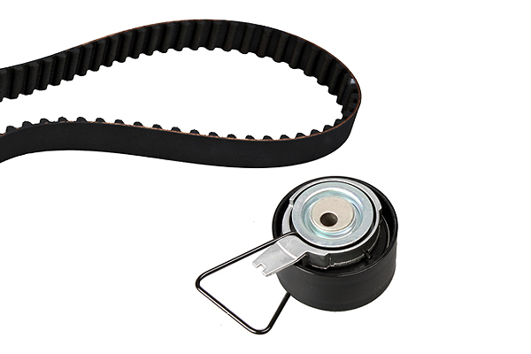 SCHAEFFLER INA Tandremssæt 530037610 for LAND ROVER ROVER LOTUS