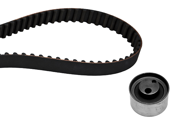 SCHAEFFLER INA Tandremssæt 530032210 for SUZUKI