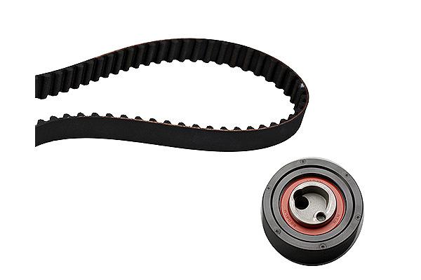 SCHAEFFLER INA Tandremssæt 530032010 for SUZUKI