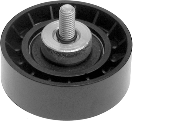 SCHAEFFLER INA Medløberhjul, multi-V-rem 532029710 for FIAT