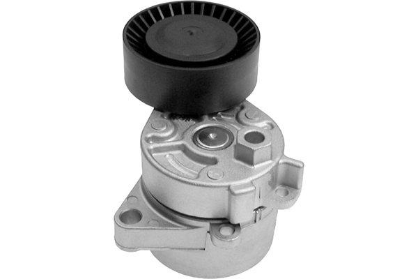 SCHAEFFLER INA Remstrammer, kilerem 533001510 for MINI BMW (BRILLIANCE)