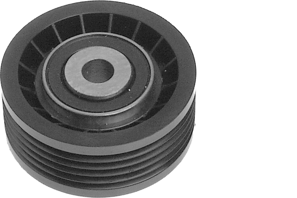 SCHAEFFLER INA Medløberhjul, multi-V-rem 532024410 for VAUXHALL GENERAL MOTORS DACIA