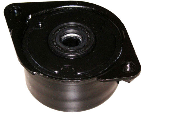 SCHAEFFLER INA Remstrammer, kilerem 534017110 for MINI OPEL GENERAL MOTORS LAND ROVER