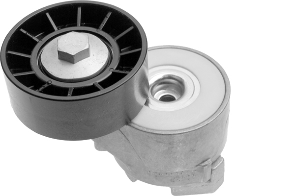 SCHAEFFLER INA Remstrammer, kilerem 533006120 for FIAT IVECO