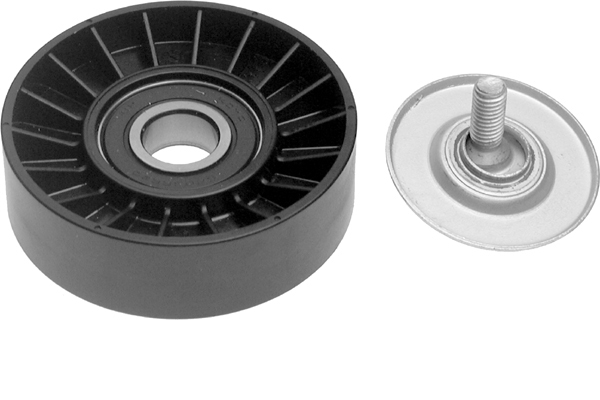 SCHAEFFLER INA Medløberhjul, multi-V-rem 532030010 for LANCIA
