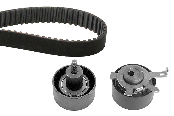 SCHAEFFLER INA Tandremssæt 530006610 for FORD