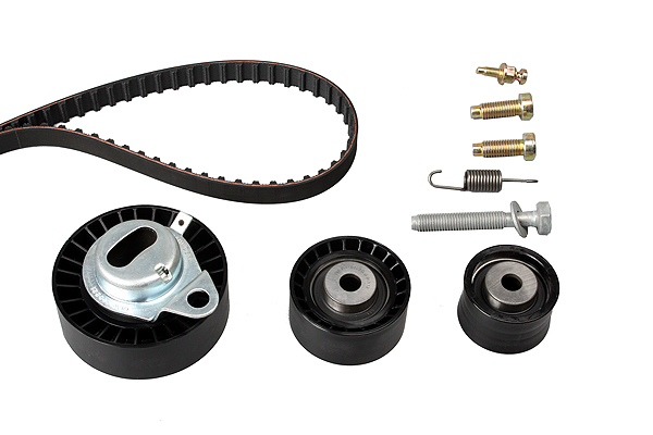 SCHAEFFLER INA Tandremssæt 530010210 for FORD