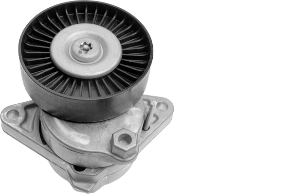 SCHAEFFLER INA Remstrammer, kilerem 534011420 for MERCEDES-BENZ CHRYSLER
