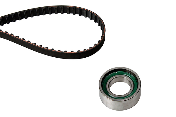 SCHAEFFLER INA Tandremssæt 530020510 for FIAT LANCIA