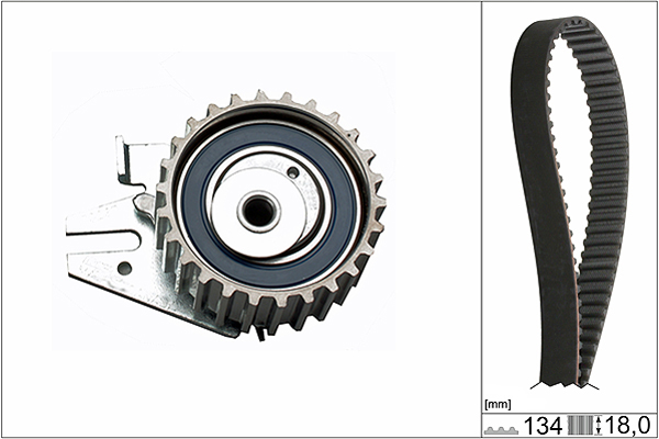 SCHAEFFLER INA Tandremssæt 530022110 for LANCIA FIAT