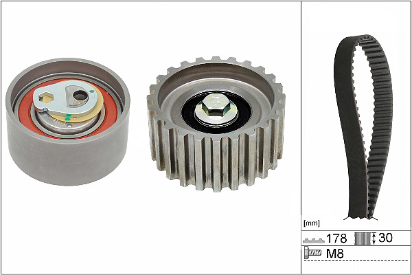 SCHAEFFLER INA Tandremssæt 530023210 for FIAT IVECO