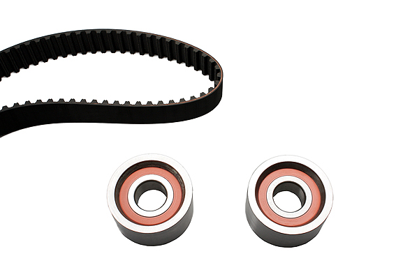 SCHAEFFLER INA Tandremssæt 530011210 for IVECO PEUGEOT DACIA