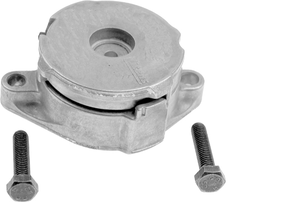 SCHAEFFLER INA Remstrammer, kilerem 533008630 for FORD VW