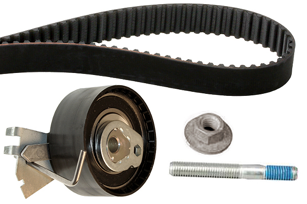 SCHAEFFLER INA Tandremssæt 530033410 for CITROËN