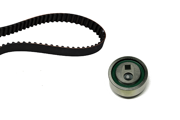 SCHAEFFLER INA Tandremssæt 530001610 for PEUGEOT CITROËN (DF-PSA)