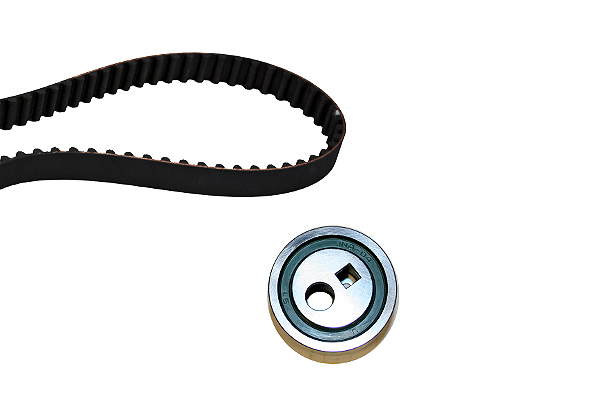 SCHAEFFLER INA Tandremssæt 530025210 for PEUGEOT PEUGEOT (DF-PSA)