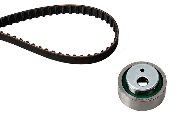 SCHAEFFLER INA Tandremssæt 530001210 for PEUGEOT CITROËN