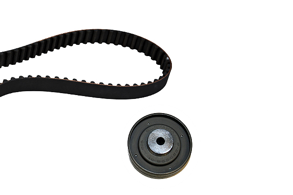 SCHAEFFLER INA Tandremssæt 530015310 for VW