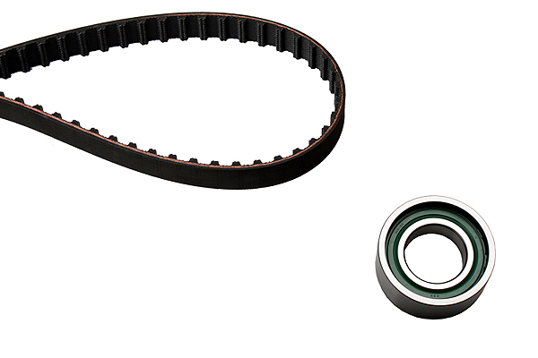 SCHAEFFLER INA Tandremssæt 530020310 for FIAT LANCIA PEUGEOT