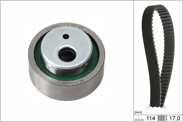 SCHAEFFLER INA Tandremssæt 530025810 for LANCIA CITROËN PEUGEOT