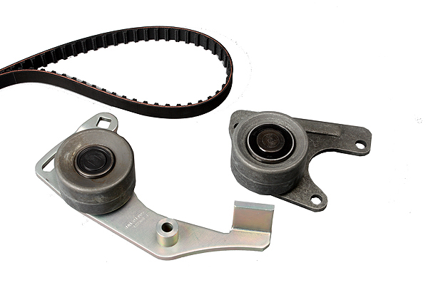 SCHAEFFLER INA Tandremssæt 530001110 for PEUGEOT TALBOT LADA ROVER