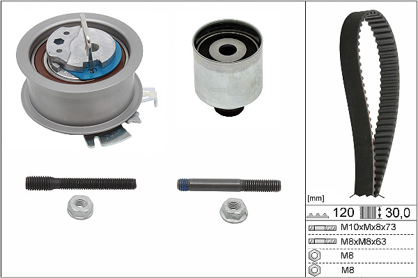 SCHAEFFLER INA Tandremssæt 530020110 for FORD VW AUDI